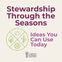 Catholic Stewardship Ideas through the Seasons